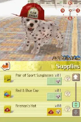 Nintendogs - Dalmatian & Friends (USA) screen shot game playing